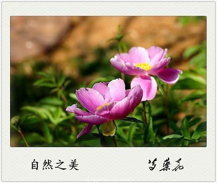 哭过……喊过……