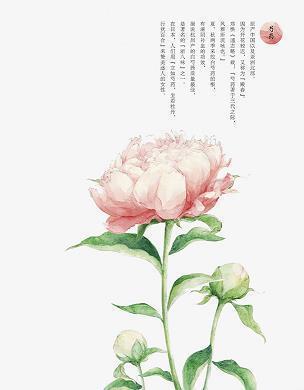 令我后悔的一件事_六年级作文_闫子晴完美作文