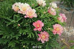 好人总会好报