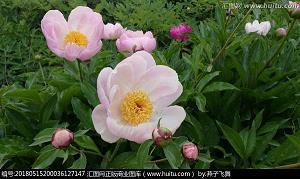 焦急的等待