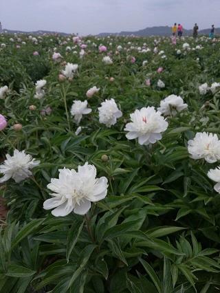 一节别有深意的课