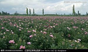 划破黑夜的轨迹