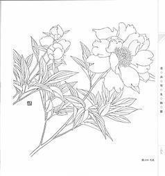 风的归宿