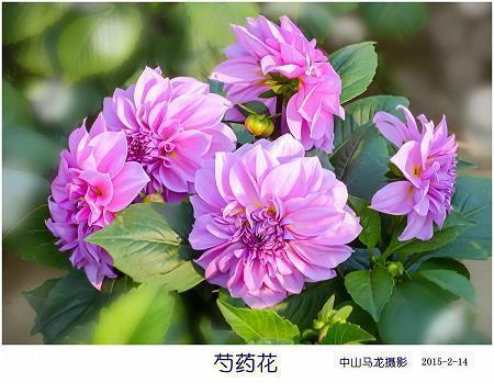 我为自己点个赞