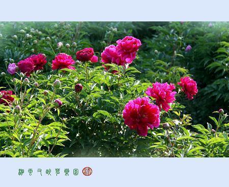 吃一堑，长一智