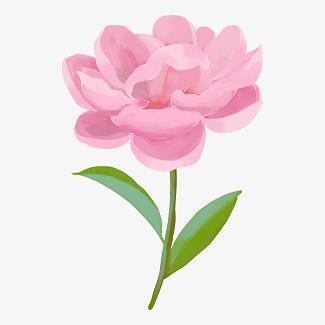 林荫道