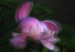 单车青春