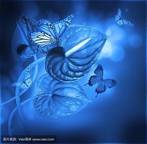 不遵守法则的狮子