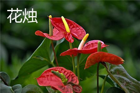 感悟随缘