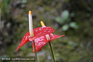 回首，展望