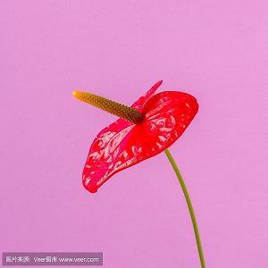 最深的爱总在最平凡的日子里