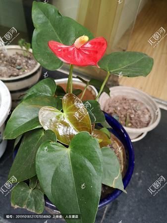 一个人的独白——致木木
