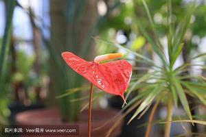 “五老”精神与中国梦