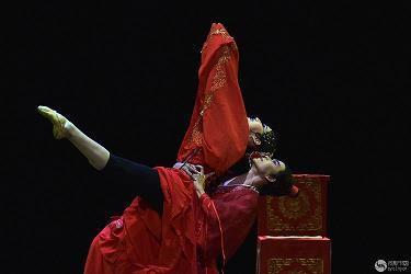 乘书飞翔