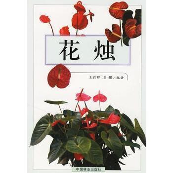 一片树叶的世界