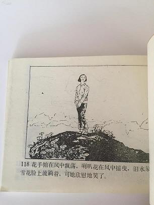 宝岛在我心中