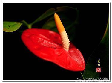 勤俭节约，文明消费