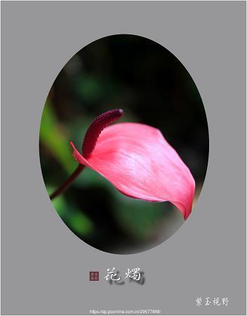 享受自己的幸福