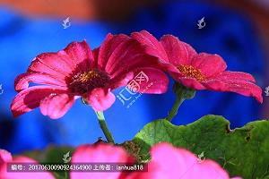 忆秦娥