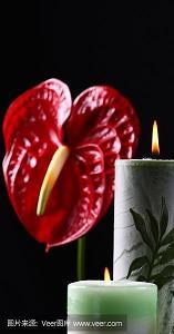我要开花给你看