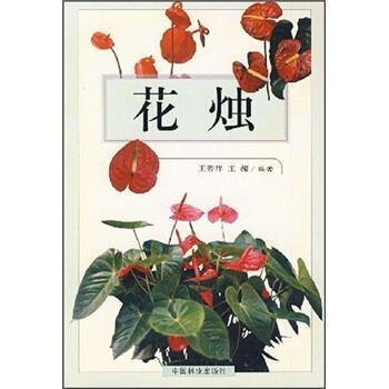感悟时间