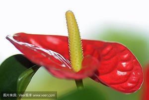 为爱感动