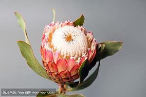 一点一滴看世界