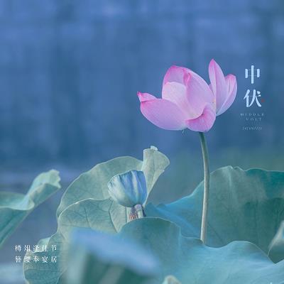 头脑发热、。