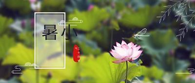 保护环境，人人有责_六年级作文_优秀同学完美作文