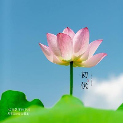 先独再创