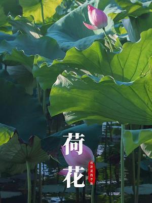 开始懂了