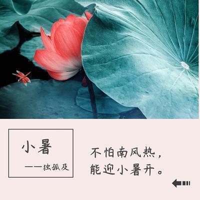 春天，一个美丽的故事