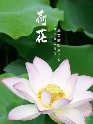 心愿·心声·心曲