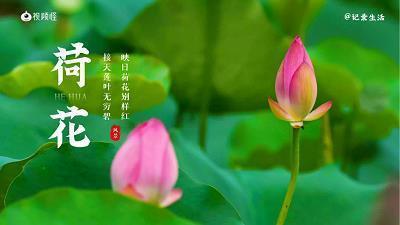 心情很乱（杂篇）