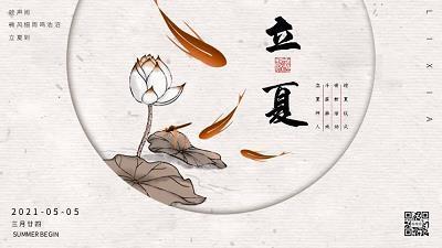 团结的蚂蚁
