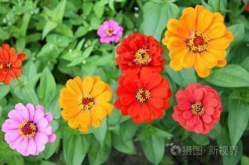 善与恶