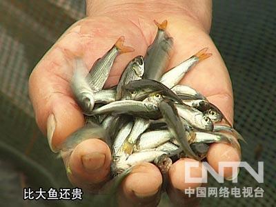 听听那老北京的声音