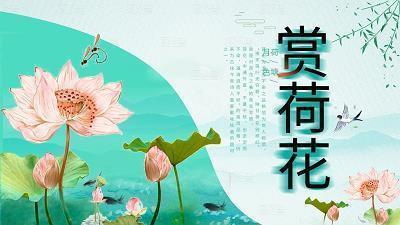 再见了，我的小学生活