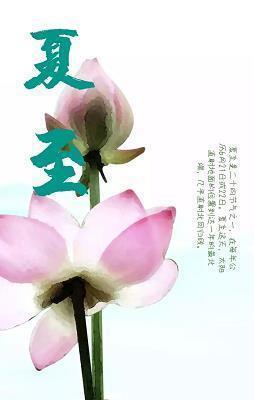 一张泛黄的老照片作文
