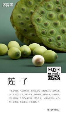 游丝