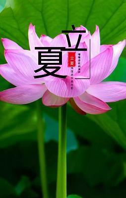 下象棋