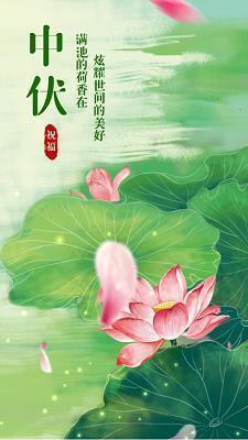 十六岁的天空