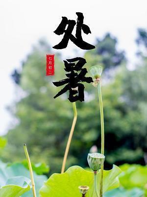 思念