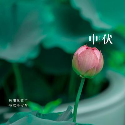 三个朋友，三种伤法