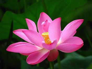 我引以为豪的她