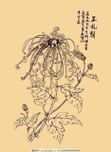 倾听历史的声音