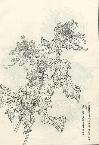 回首