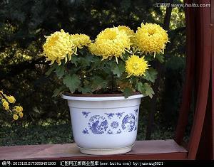 我以我的祖国为荣