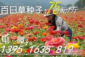 写给新的一年
