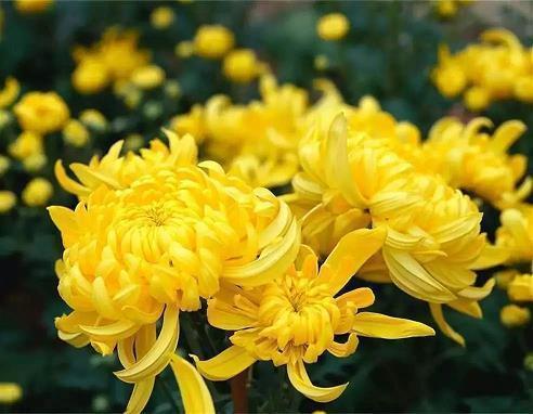 春天·繁花·秘密